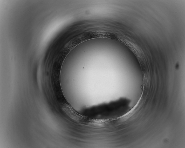 X0000099300190200805091003