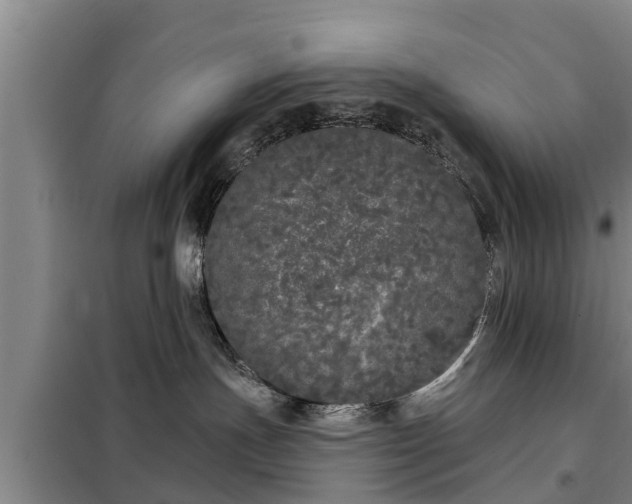 X0000099300191200805091003