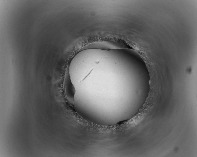 X0000099300192200805091003