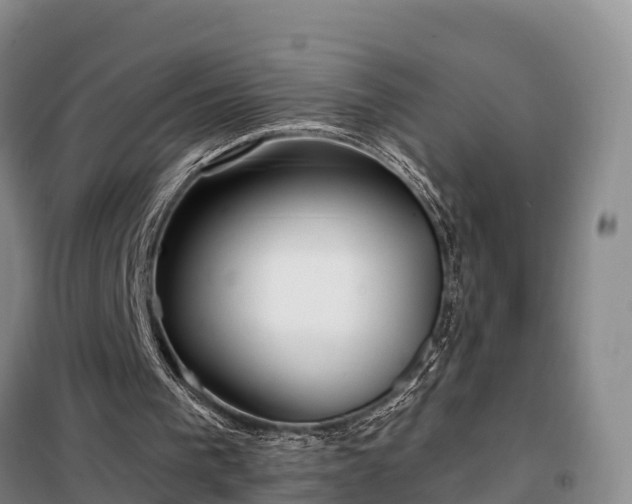 X0000099300193200805091002