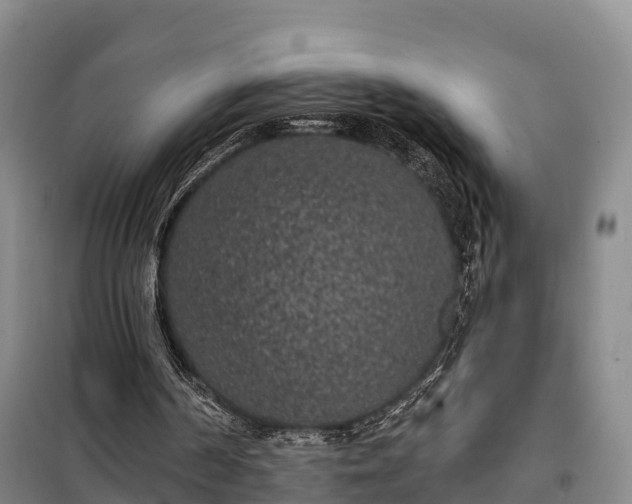 X0000099300194200805091002