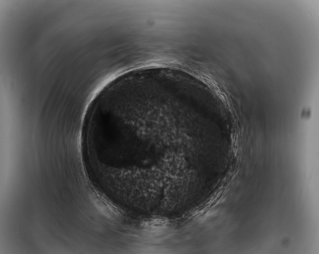 X0000099300196200805091002