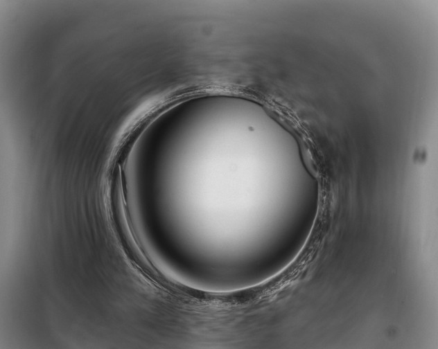 X0000099300197200805091002