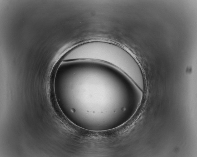 X0000099300199200805091002