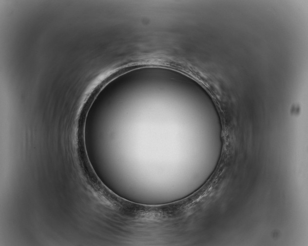 X0000099300200200805091002