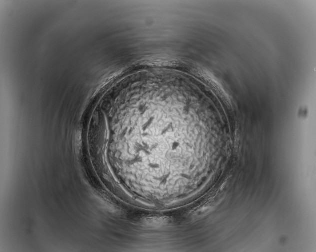 X0000099300202200805091002