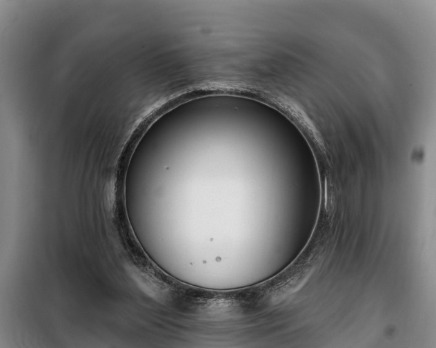 X0000099300204200805091002