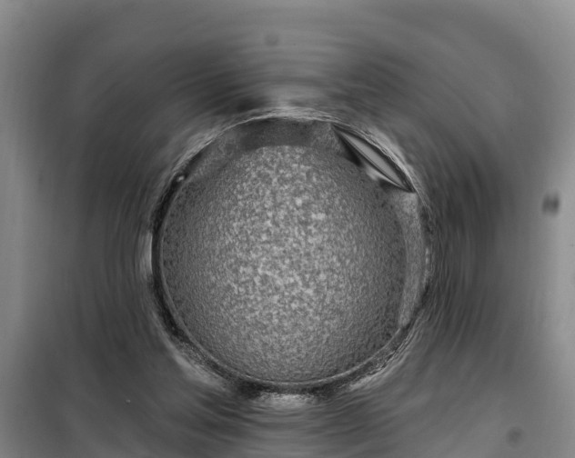 X0000099300205200805091002