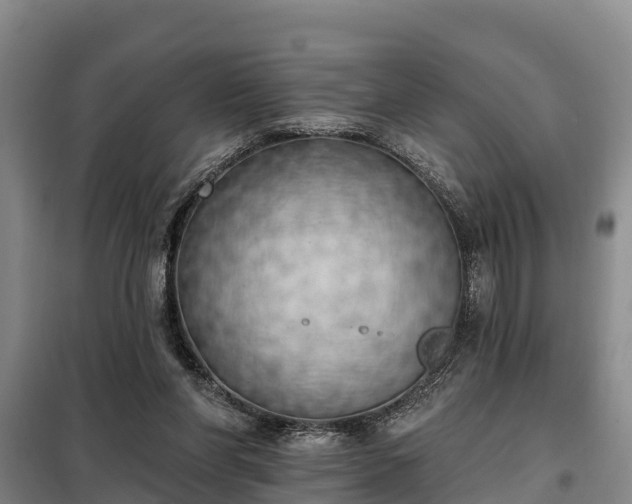 X0000099300206200805091002