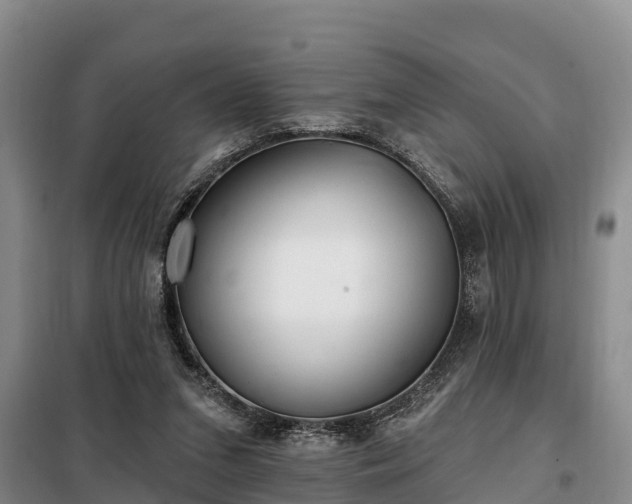 X0000099300207200805091002