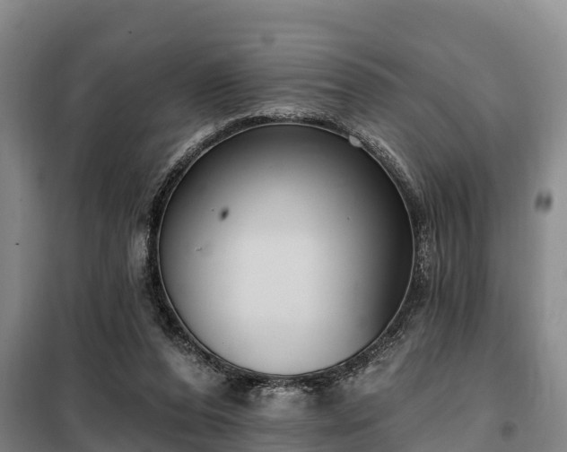 X0000099300208200805091002