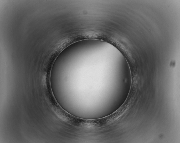 X0000099300209200805091002