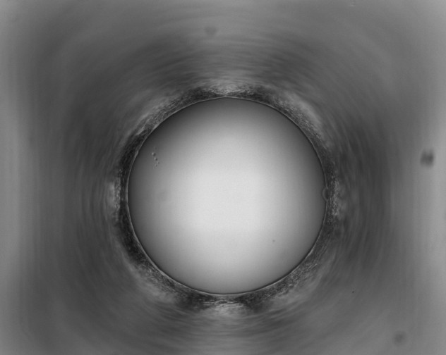 X0000099300210200805091002