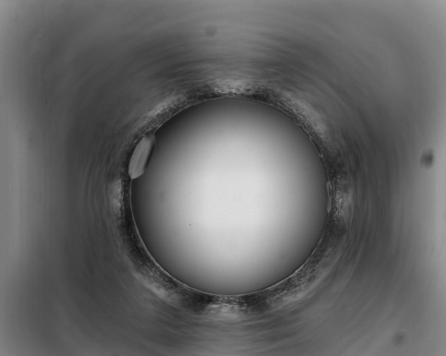 X0000099300211200805091002