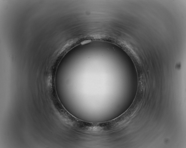 X0000099300212200805091002