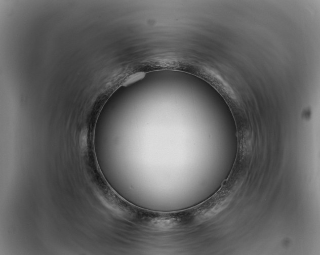 X0000099300213200805091002