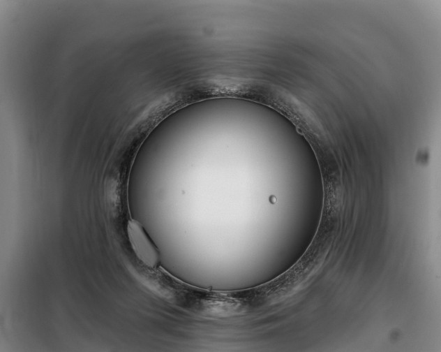 X0000099300215200805091002