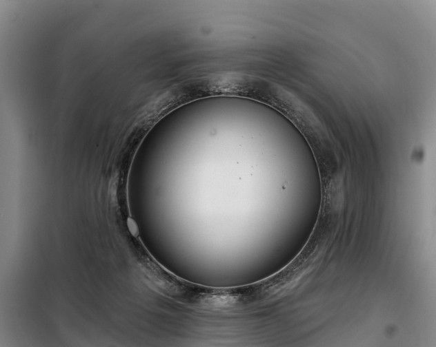 X0000099300217200805091002