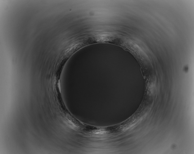 X0000099300219200805091002