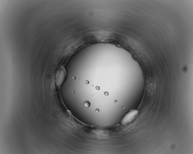 X0000099300221200805091002