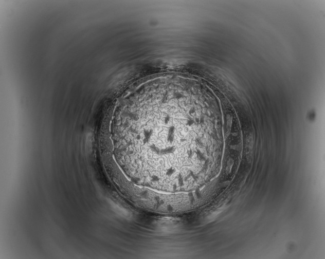 X0000099300222200805091002