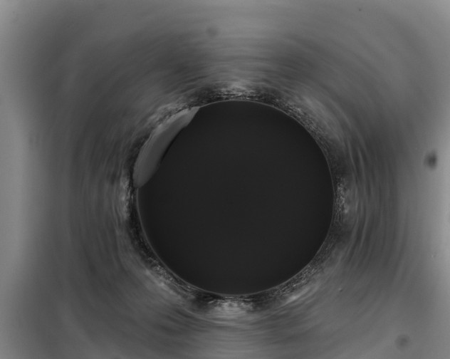 X0000099300223200805091002