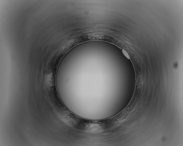 X0000099300224200805091001