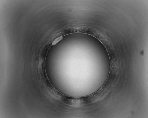 X0000099300225200805091001