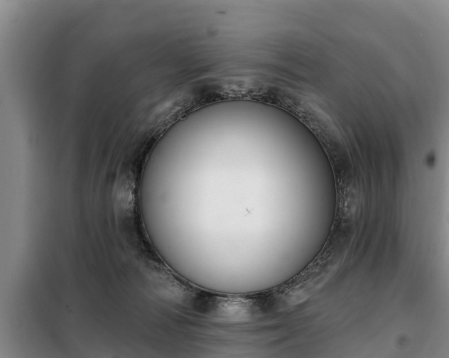 X0000099300226200805091001