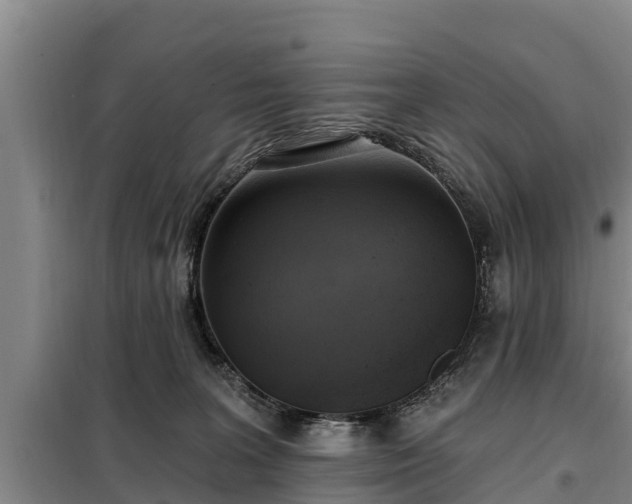 X0000099300227200805091001