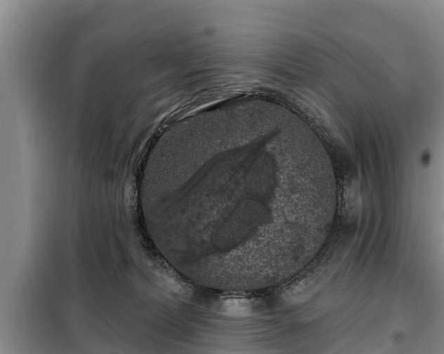 X0000099300228200805091001