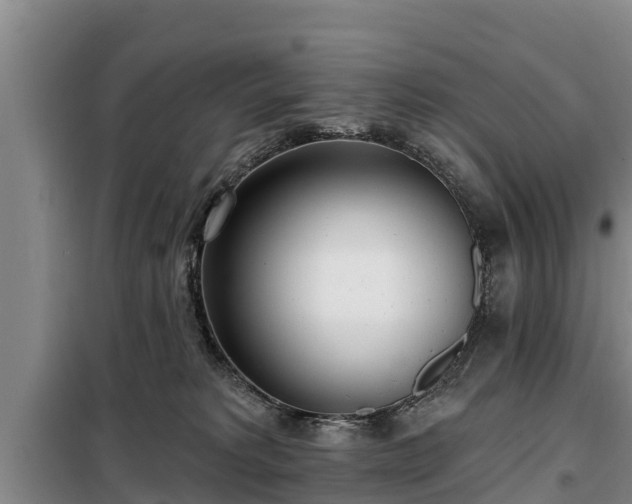 X0000099300229200805091001