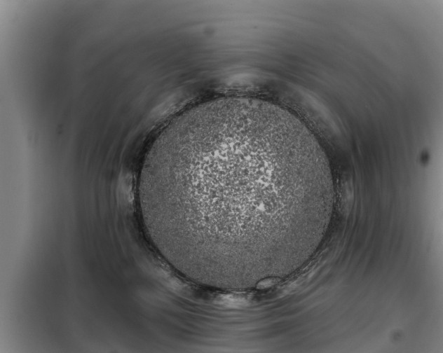 X0000099300232200805091001