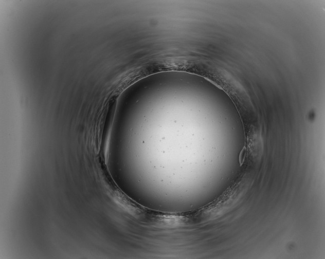 X0000099300233200805091001