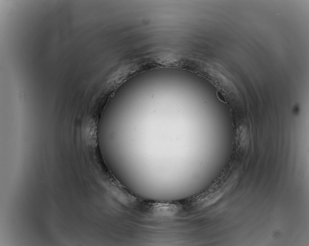 X0000099300234200805091001