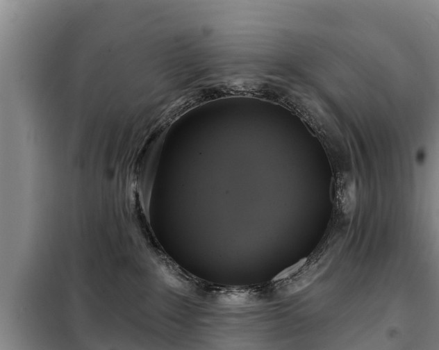 X0000099300235200805091001