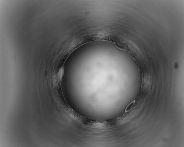 X0000099300236200805091001