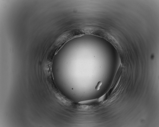 X0000099300237200805091001