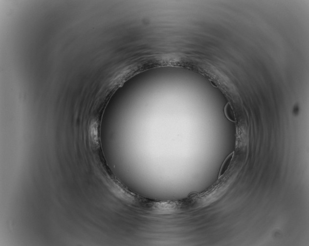 X0000099300238200805091001