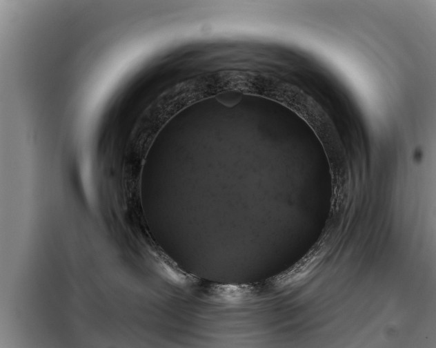 X0000099300239200805091001