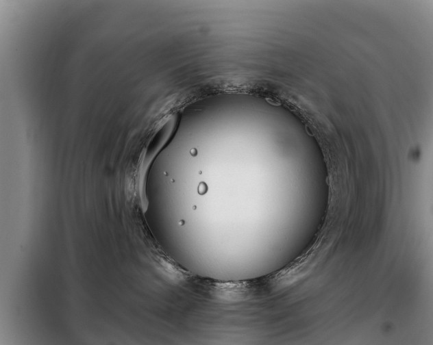 X0000099300240200805091001