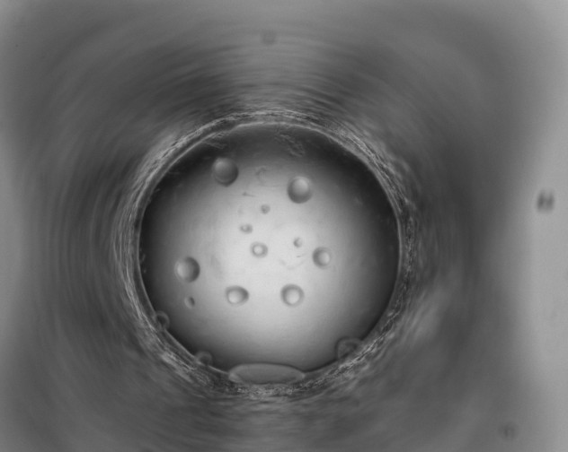 X0000099300241200805091001