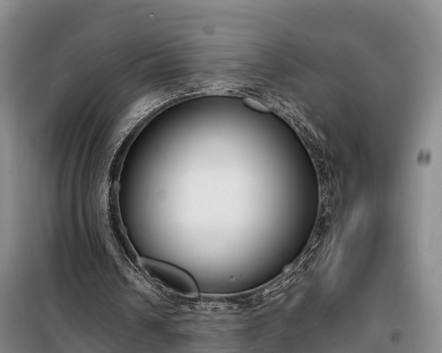 X0000099300242200805091001