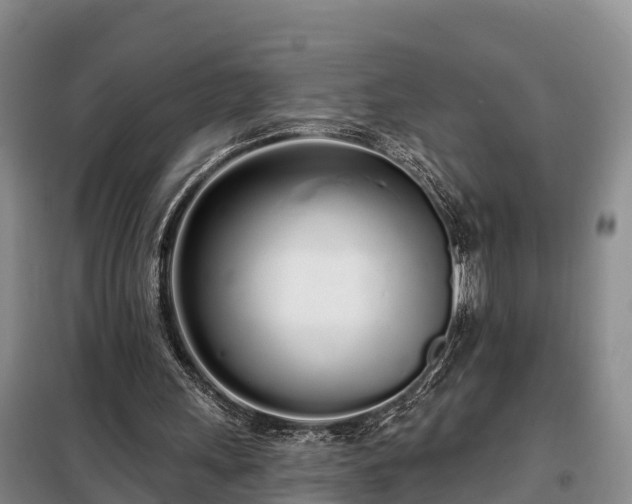 X0000099300243200805091001