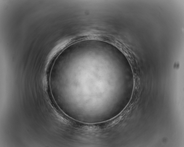 X0000099300245200805091001