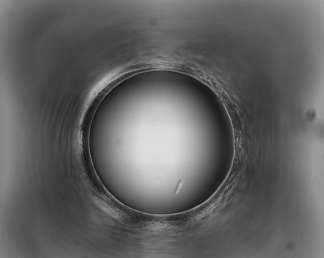 X0000099300246200805091001