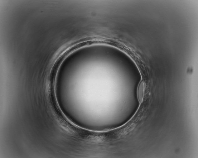 X0000099300247200805091001