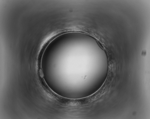 X0000099300248200805091001