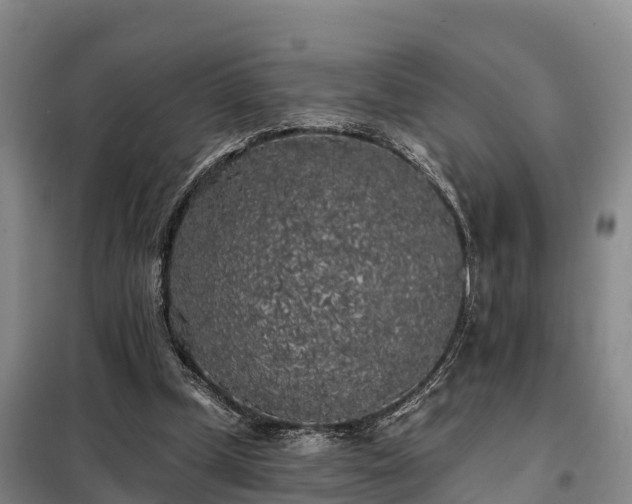 X0000099300249200805091001