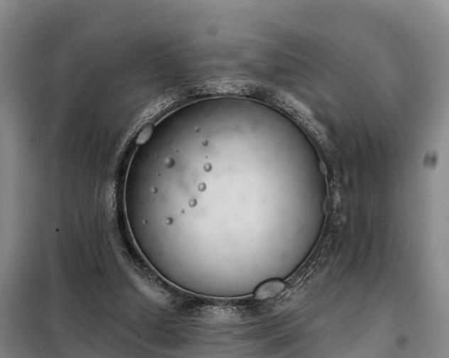 X0000099300250200805091001